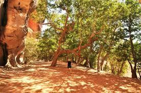 Windjana Gorge National Park景点图片