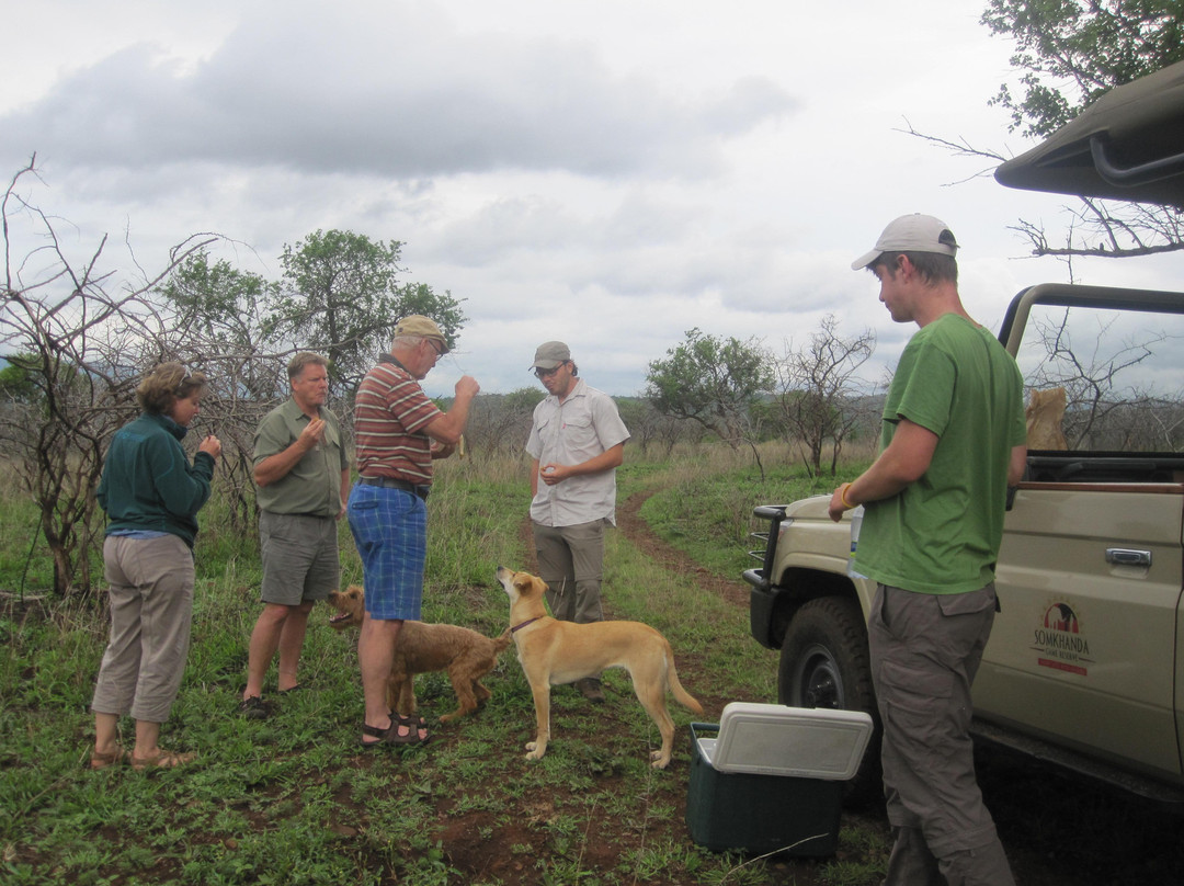 Somkhanda Community Game Reserve-莫库斯必去景点