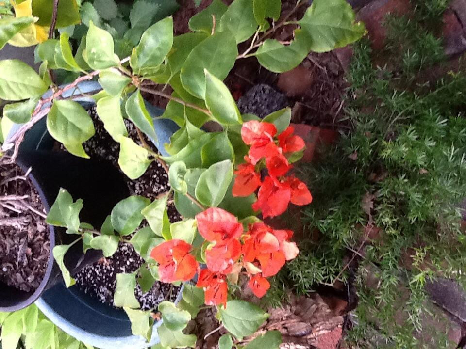 Bevers House Bed & Breakfast主图