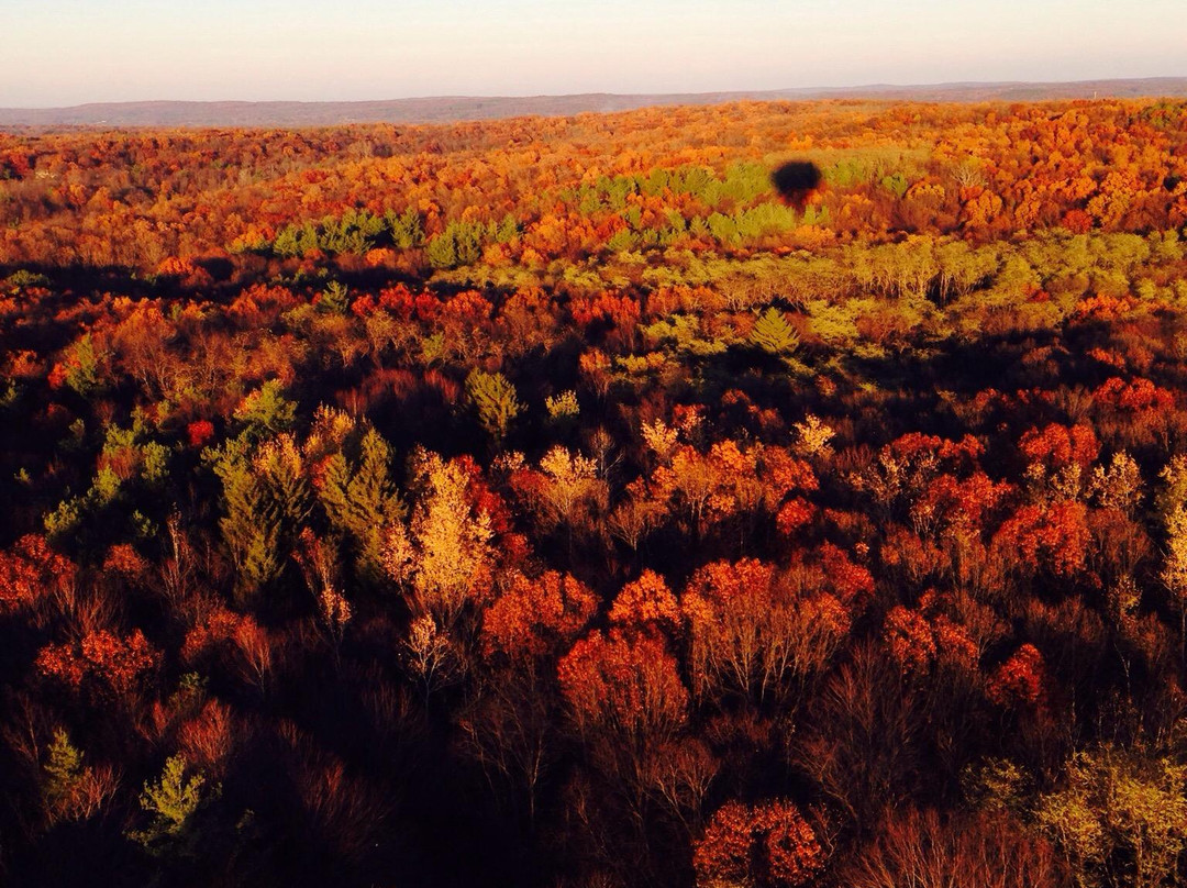 Balloon Quest Inc Capt. Phogg Balloon Rides-Fenton必去景点