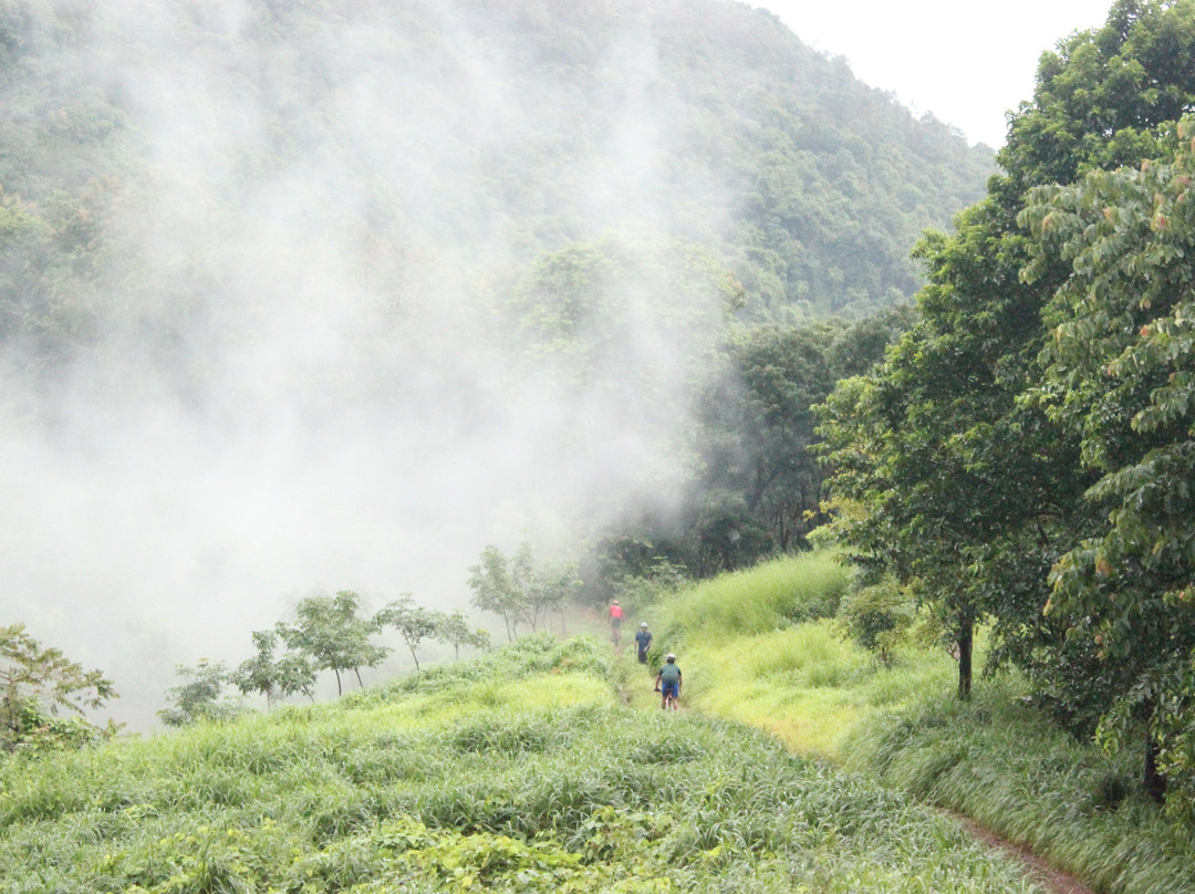 Kumaragiri Farm & Nature Camp-Malappuram必去景点