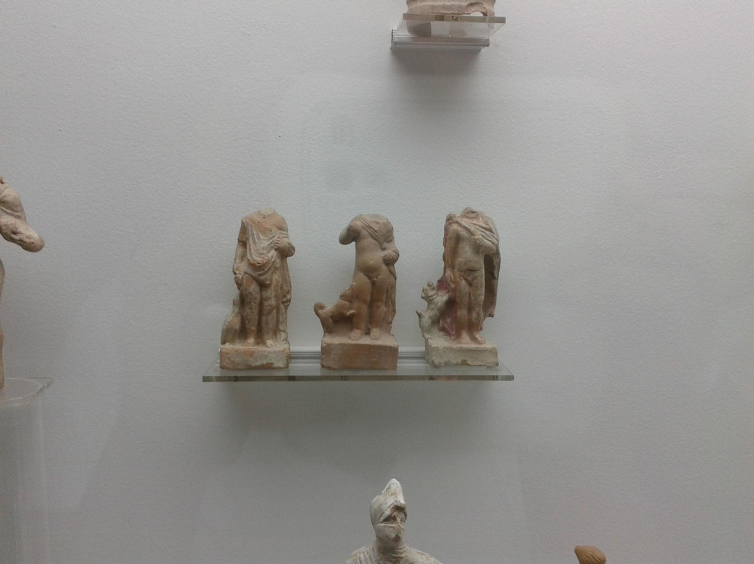 Mouseío Fysikís Istorías Aigaíou-Samos必去景点