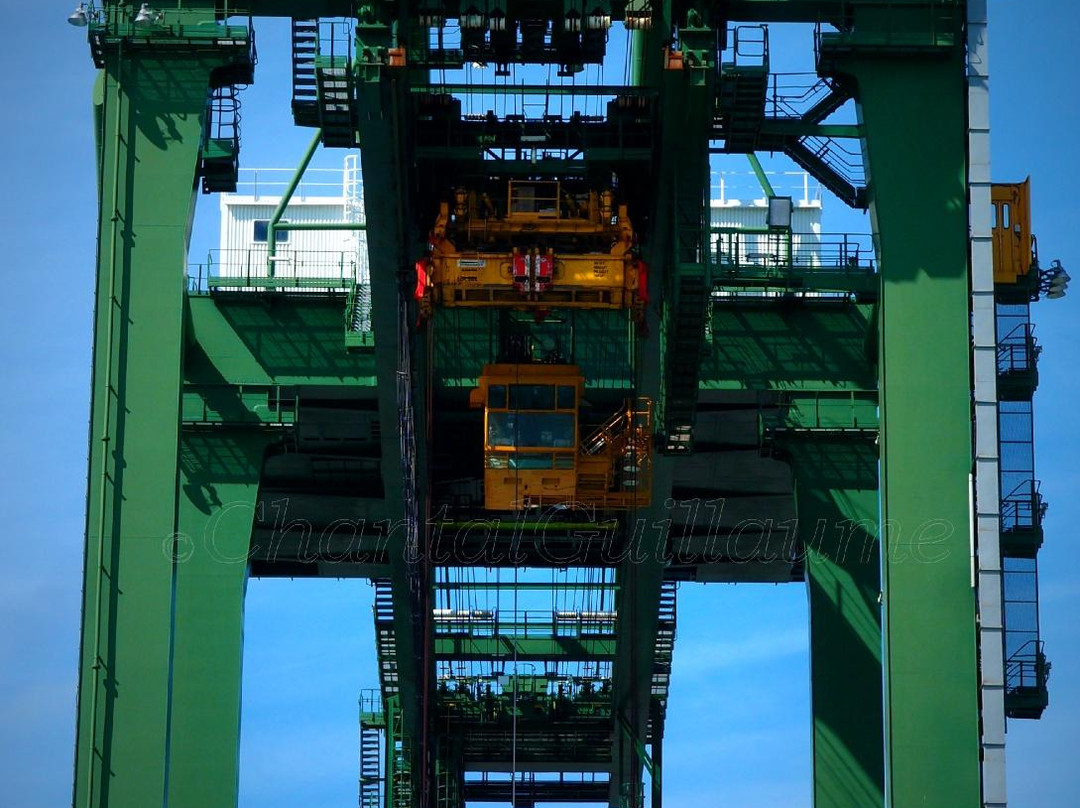 Harbor Tour Zeebruges-布鲁日必去景点