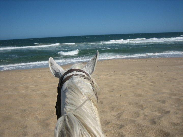 Haras Godiva-Jose Ignacio必去景点