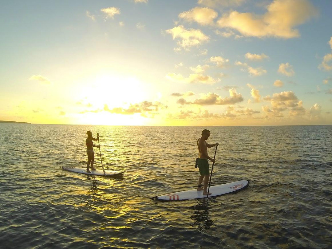 Anguilla Watersports-The Valley必去景点
