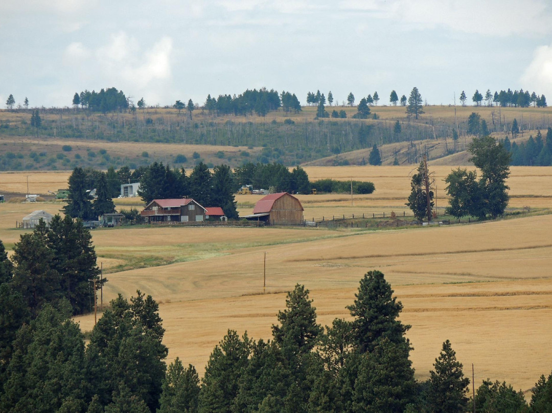 The Ridge House B&B主图