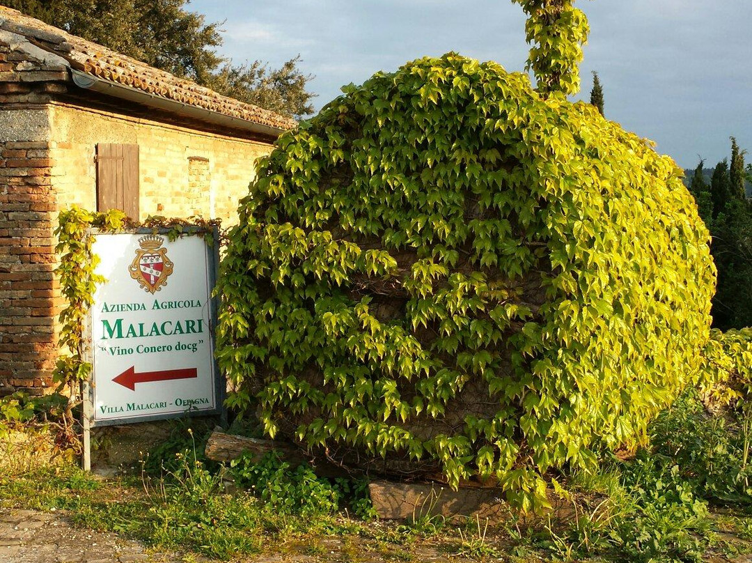Offagna旅游景点-Azienda Agricola Malacari