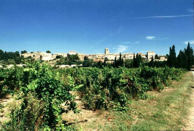 Taste du Languedoc景点图片