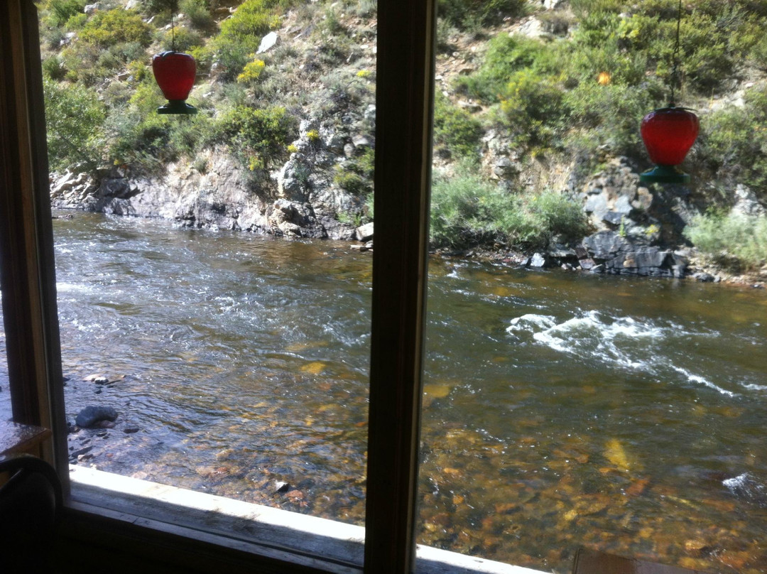 Cache La Poudre Wilderness-Livermore必去景点