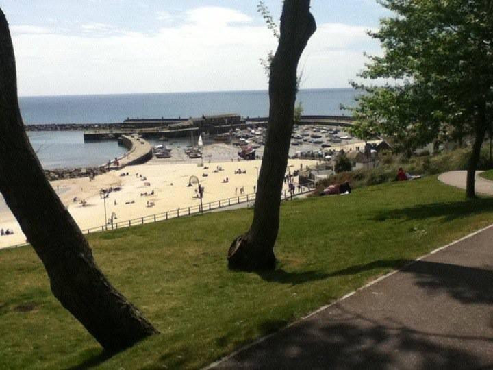 Devon's Duck n Dane B&B主图