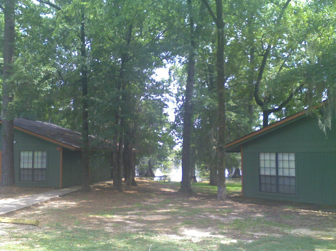 Lake Bistineau State Park景点图片