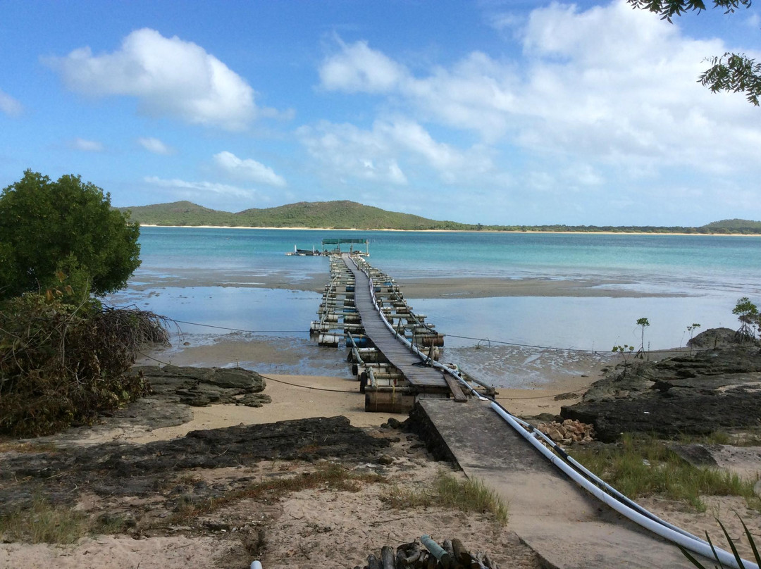Roko Island, Cape York-Roko Island必去景点