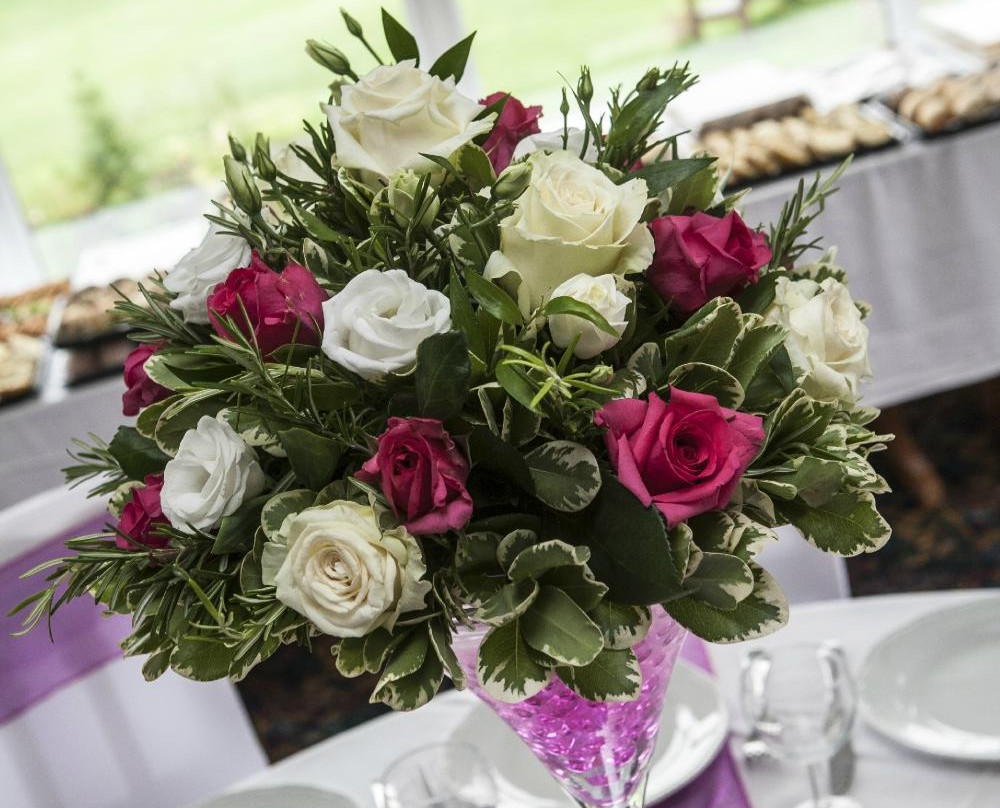 Newcastle United Golf Club-纽卡斯尔必去景点