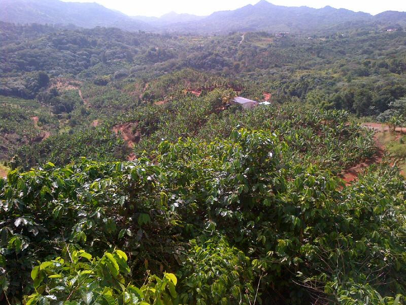 Hacienda Tres Angeles-Adjuntas必去景点