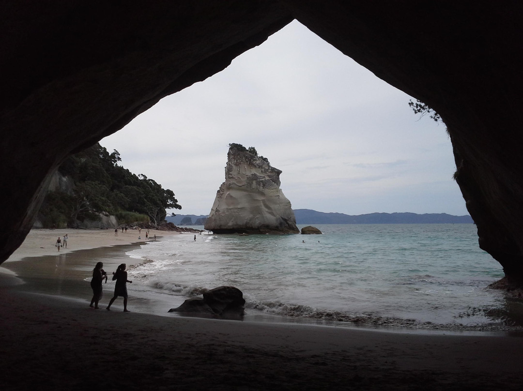 Aotea Roadies - Day Tours-奥克兰中心地区必去景点