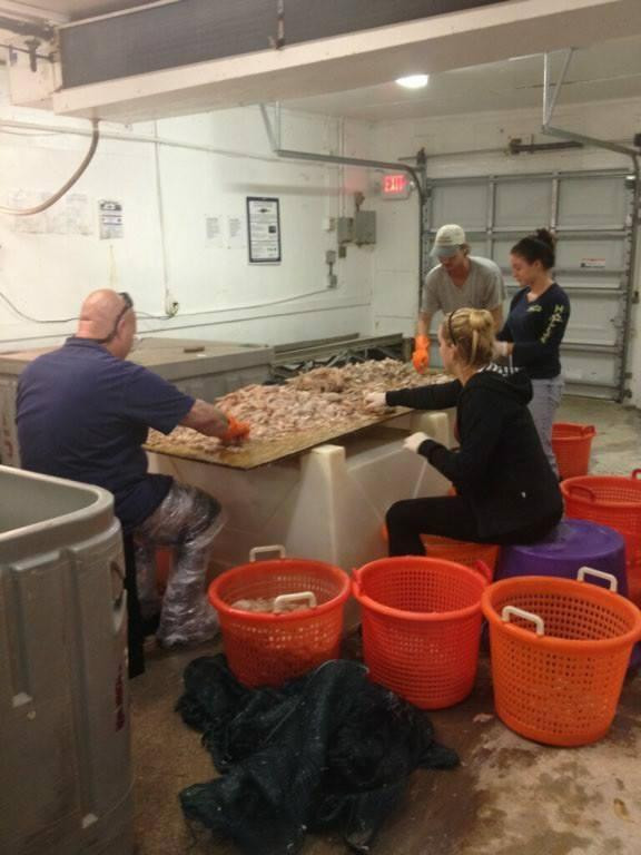 Trico Shrimp Co-迈尔斯堡海滩必去景点