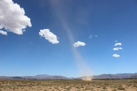 Inverdoorn Private Game Reserve-开普敦中心区必去景点