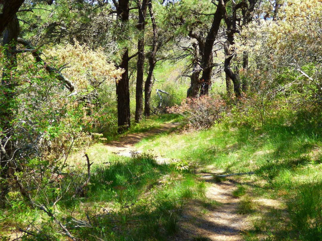 Head of the Meadow Trail景点图片