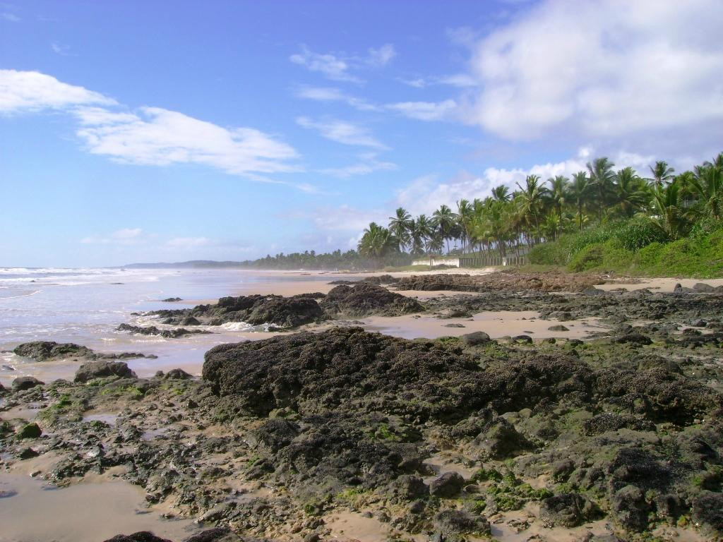 Cururupe Beach-Ilheus必去景点