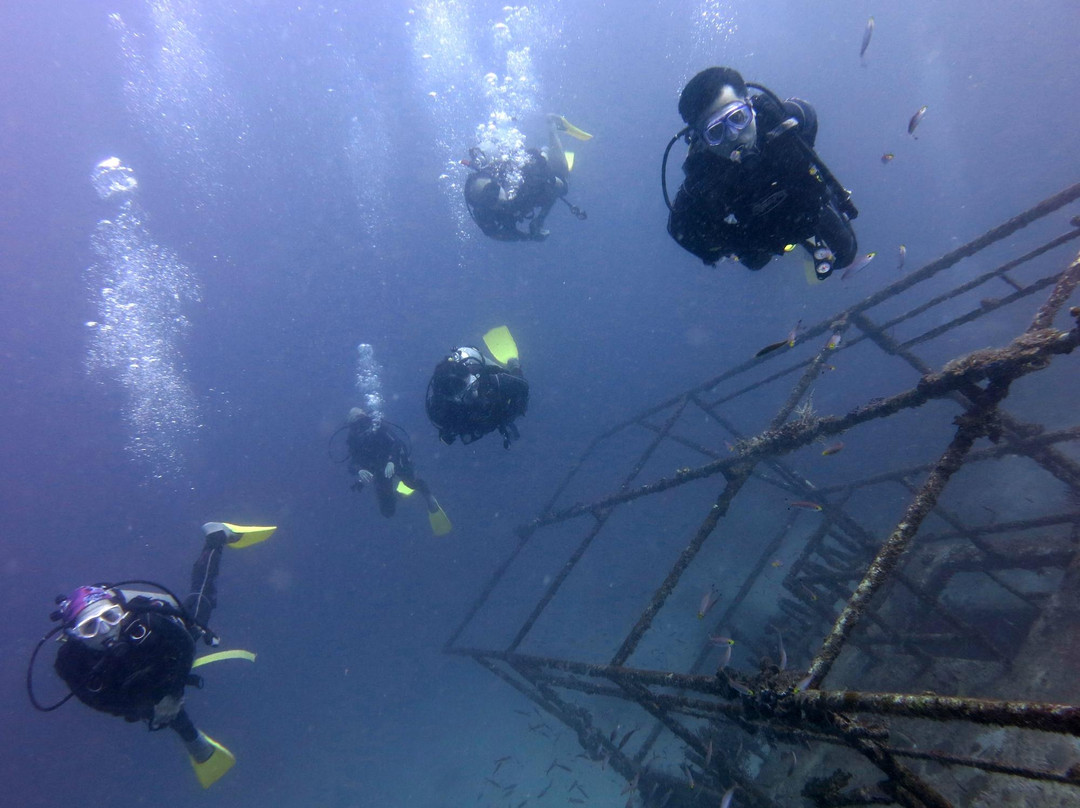 婆罗州快捷潜水-仙本那必去景点