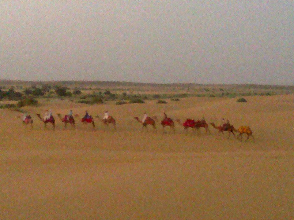 Camel Safari景点图片