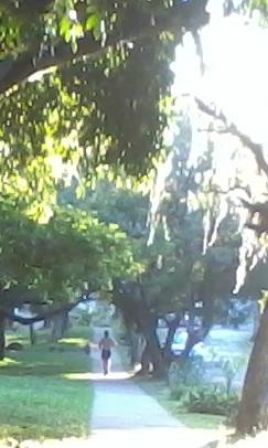 Parque Vinte De Maio-阿雷格里港必去景点