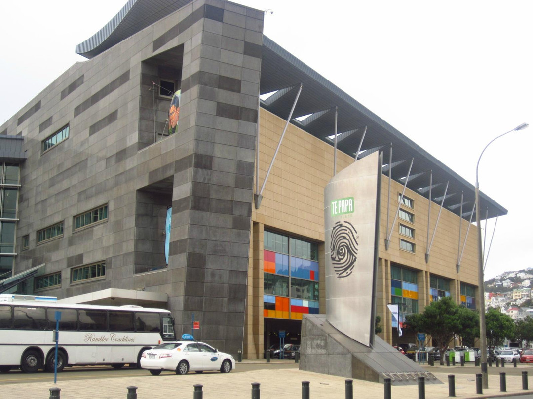 新西兰国家博物馆景点图片
