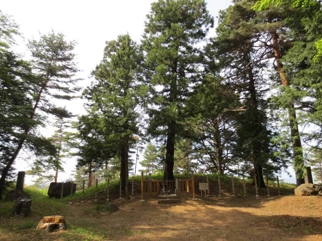 Shinfu Castle Site景点图片
