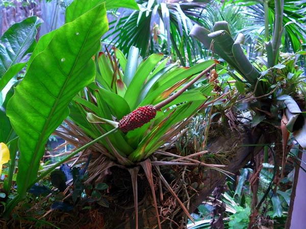 加州科学馆-旧金山必去景点