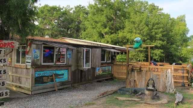Champagne's Cajun Swamp Tours景点图片