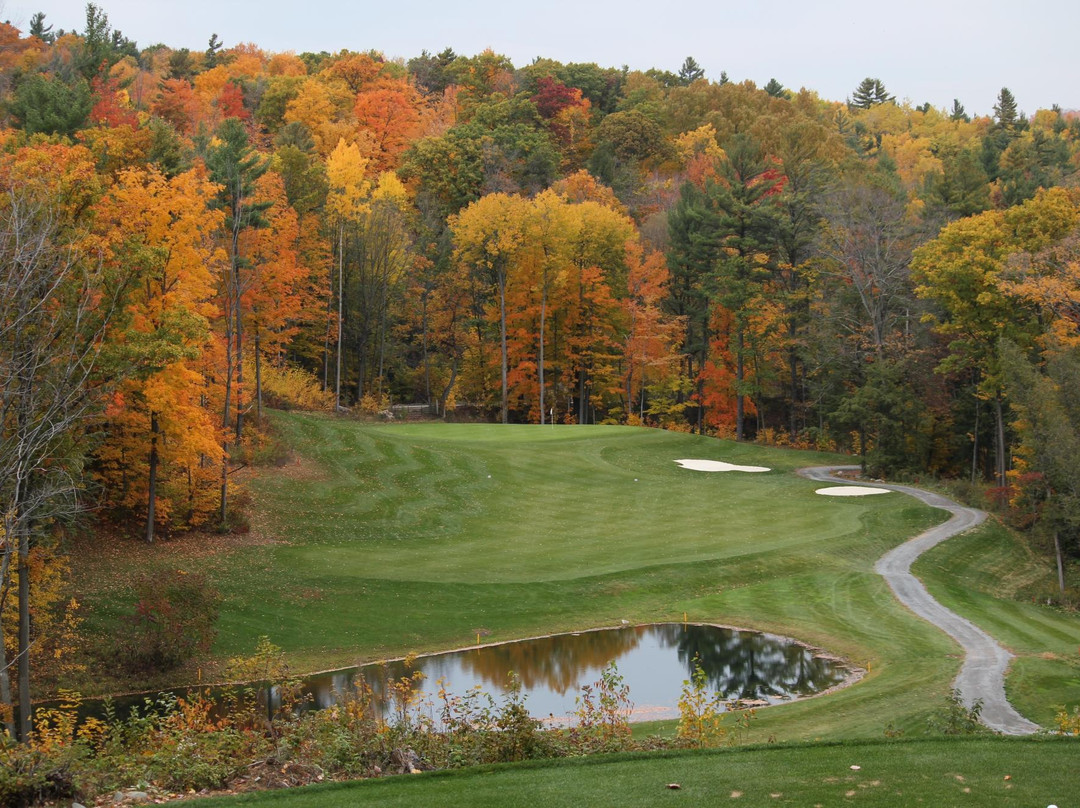 Shelter Valley Pines Golf Club景点图片