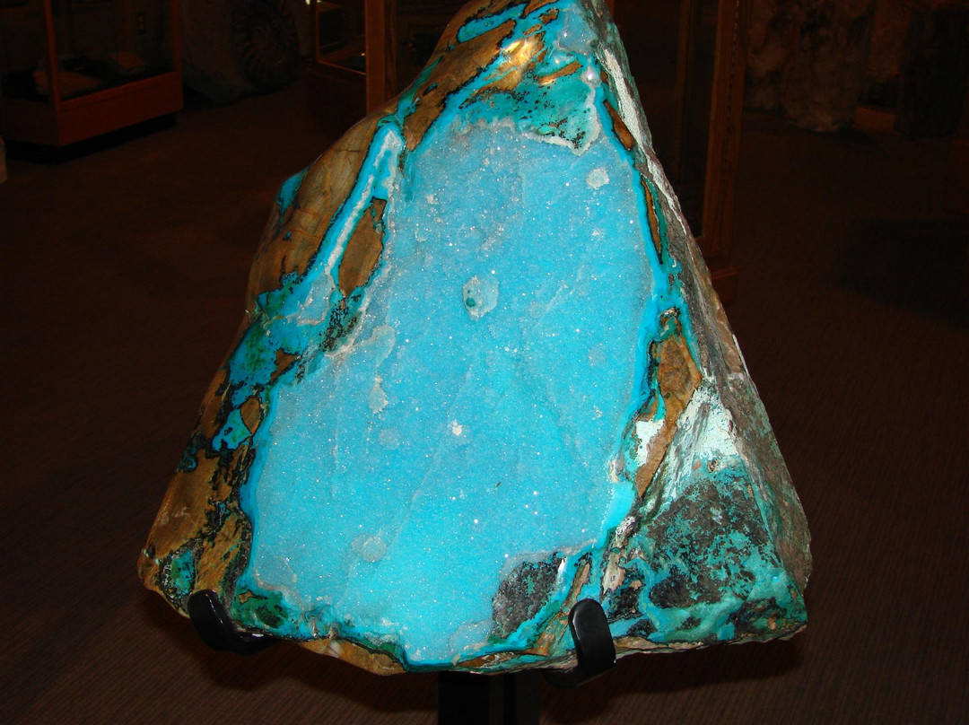 The Zuhl Museum-拉斯克鲁塞斯必去景点