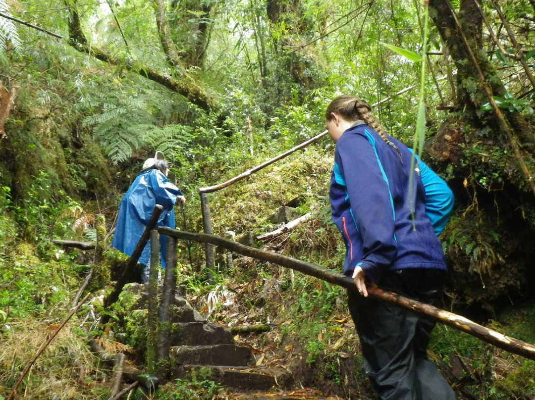 Parque Nacional Alerce Andino-蒙特港必去景点