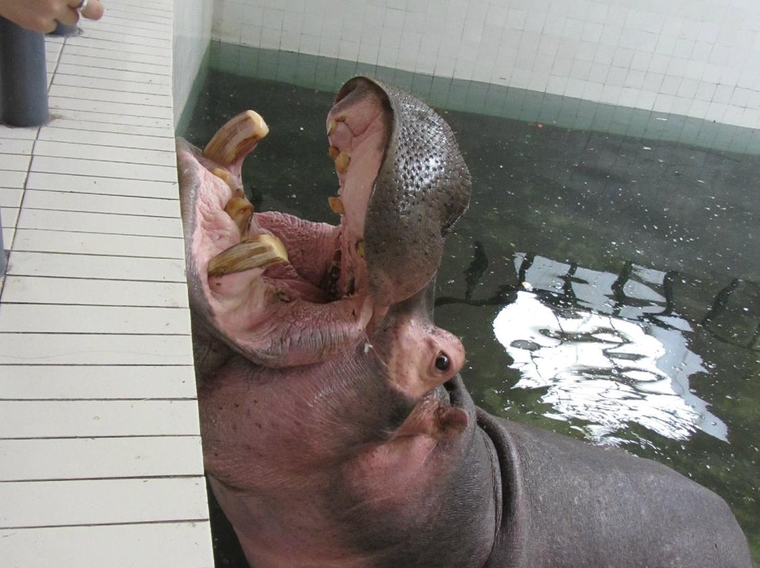 北方森林动物园-哈尔滨市必去景点