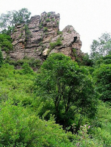 茅荆坝森林公园-隆化县必去景点
