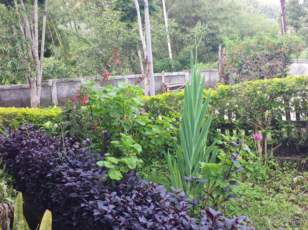 Hotel Happy Happy主图