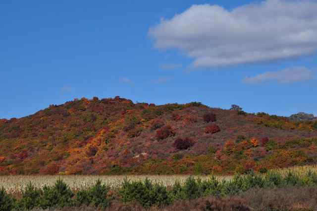 阿尔山国家森林公园-阿尔山市必去景点