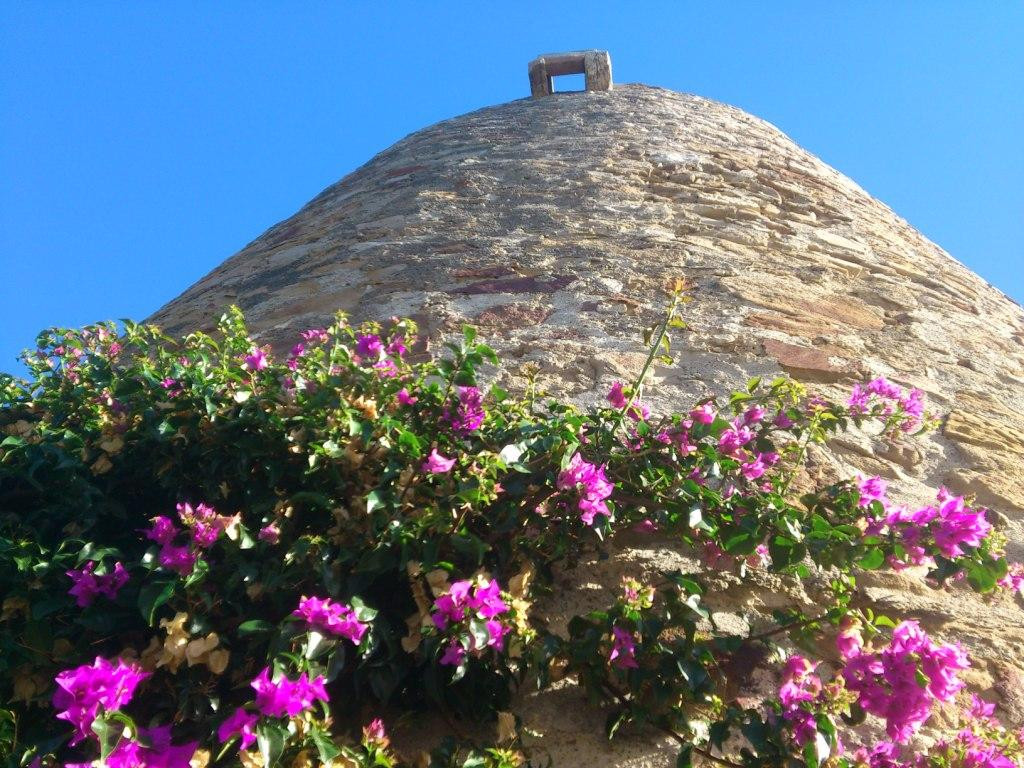 Torre de Arroyo Vaquero景点图片