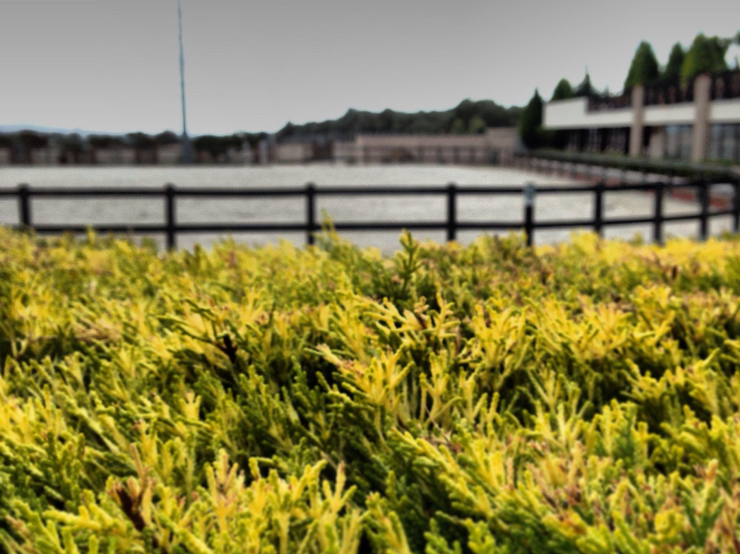 Konvoy Hotel & The Country Club主图