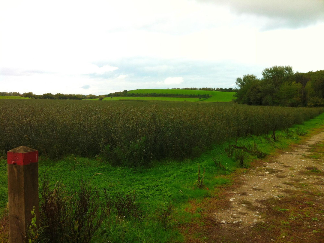 Coates English Willow Visitor Centre景点图片