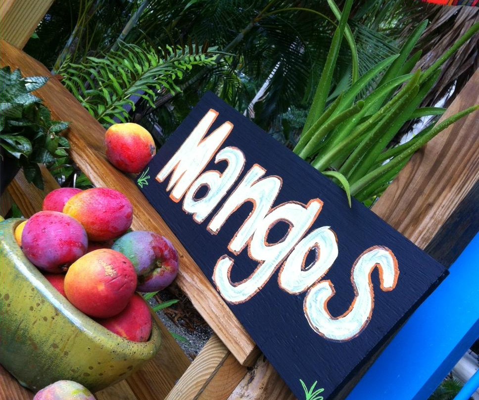 Earth & Spirit Garden Gallery-Saint James City必去景点