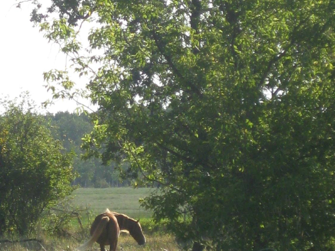 Rockylaine Bed and Breakfast主图