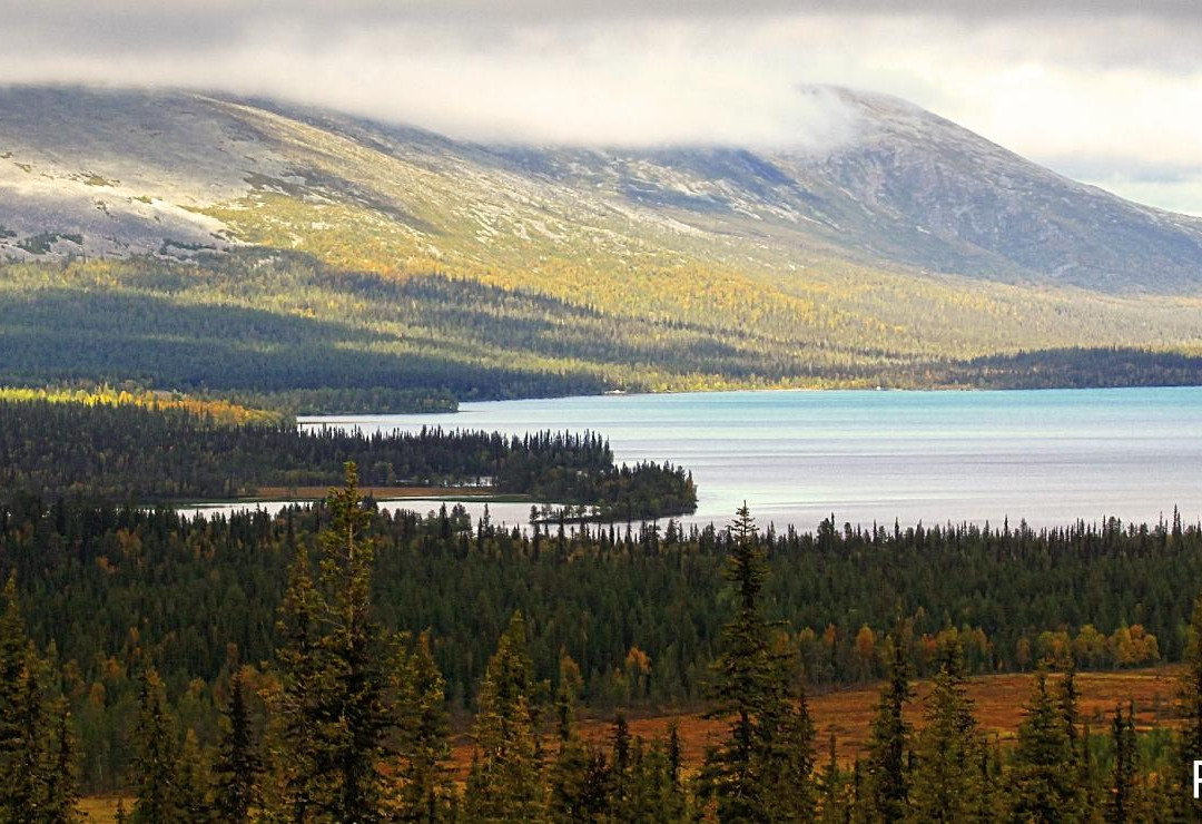 Pallas-Yllästunturi National Park景点图片