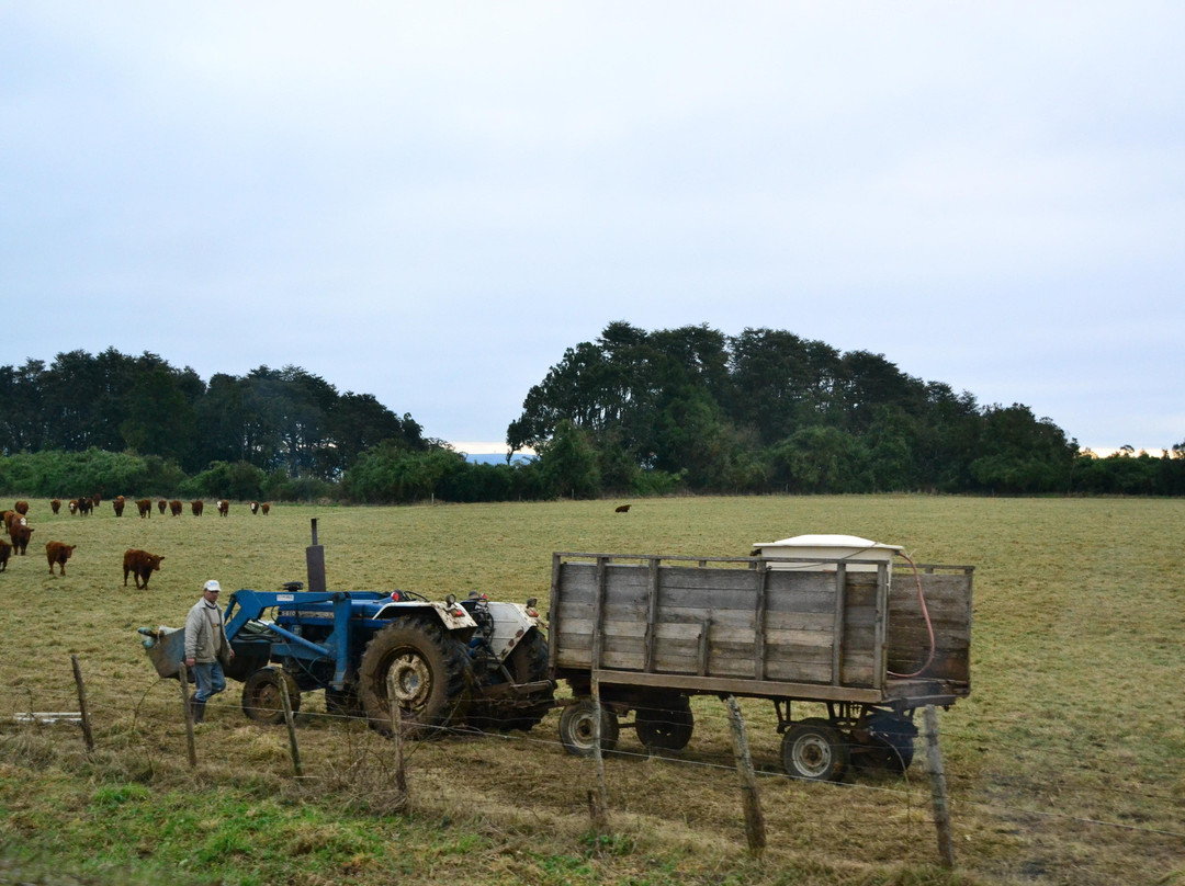 Lago Llanquihue-巴拉斯港必去景点