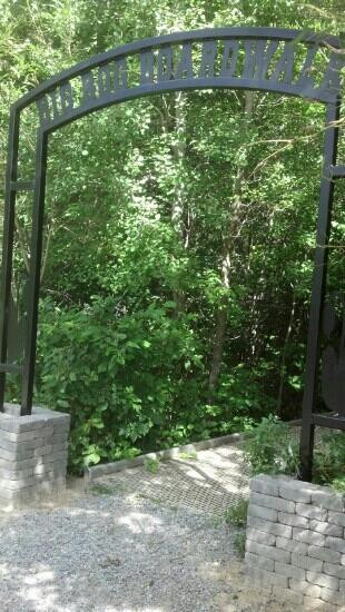 Big Bog State Recreation Area-Waskish必去景点