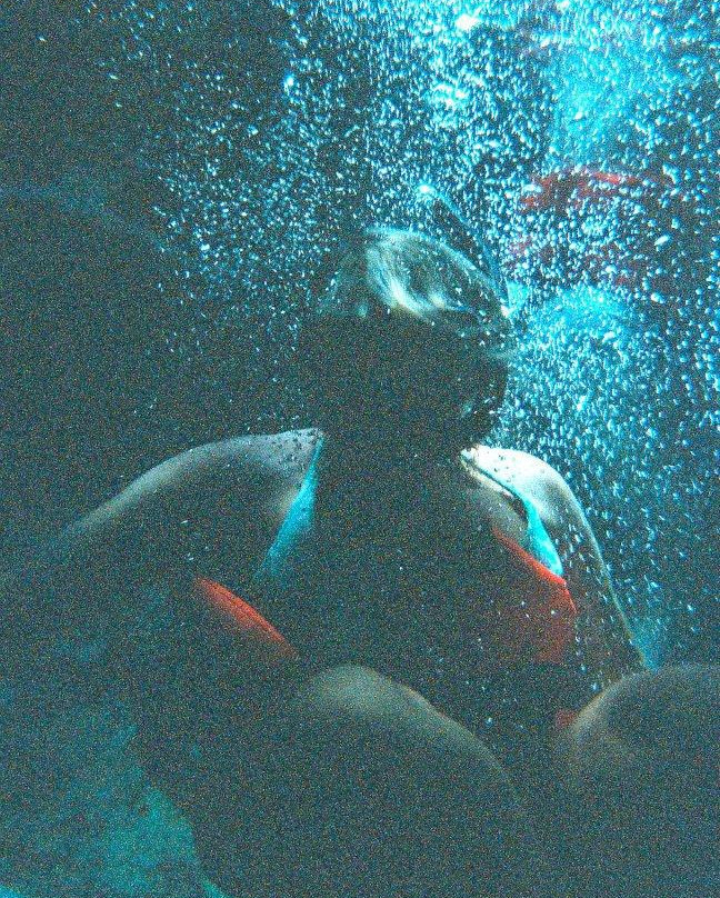 Atkun-Chen Indiana Joe's-Alfredo V. Bonfil必去景点