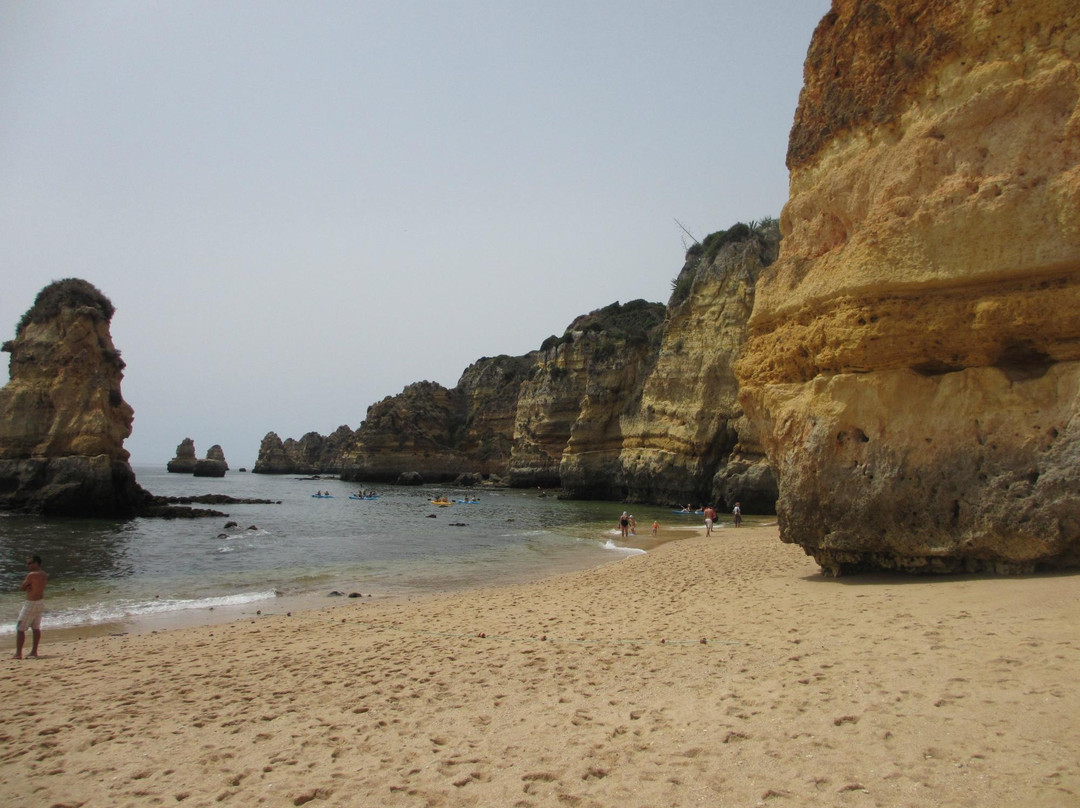 Parque da Floresta-阿尔加威必去景点