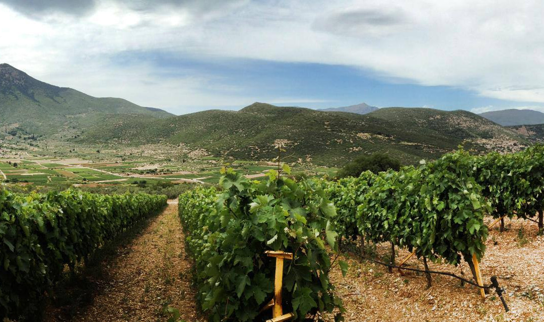 Domaine Skouras Winery-Argos必去景点