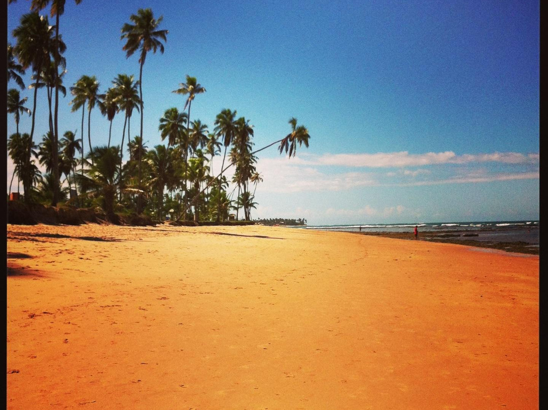 Praia de Guarajuba-Guarajuba必去景点