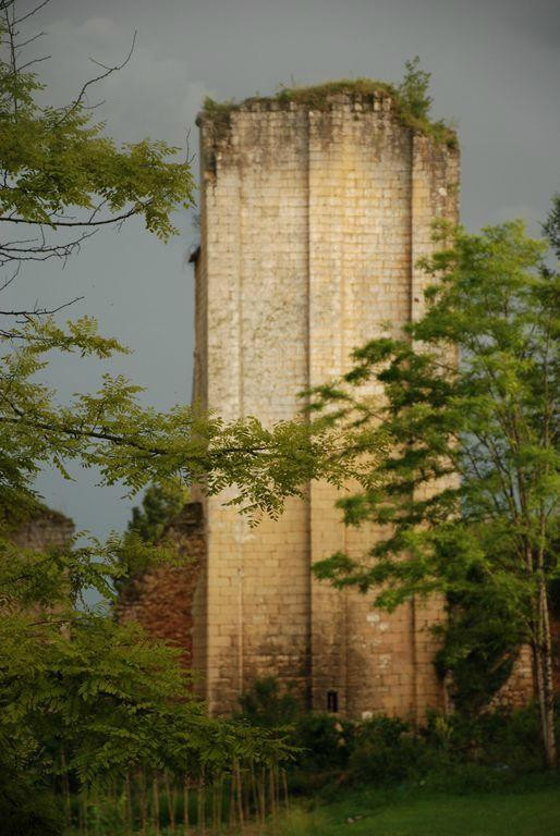 Forteresse de Miremont景点图片